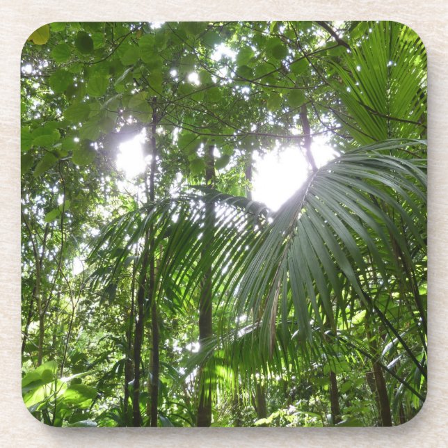 Posavasos Luz solar a través de la selva tropical con cubier (Frente)