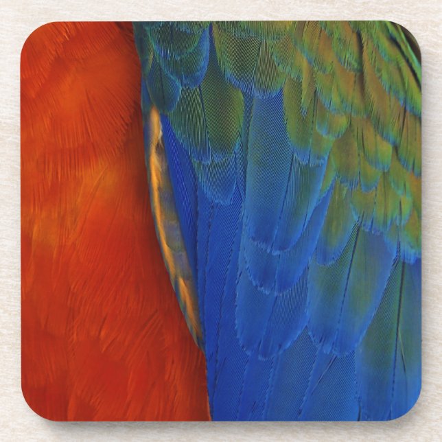 Posavasos Macaw Feathers (Frente)