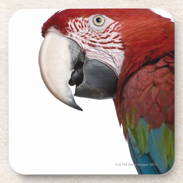Posavasos Macaw Rojo-y-verde - chloropterus del Ara (Frente)