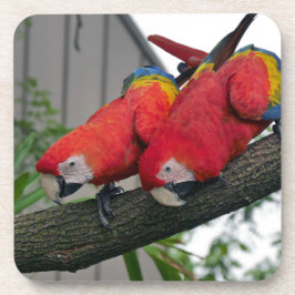 Posavasos Macaws Rojos 2.JPG