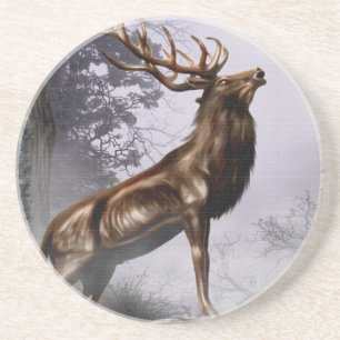 Posavasos Macho del invierno