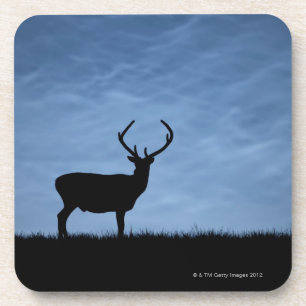 Posavasos Macho silueteado del ciervo común en la noche