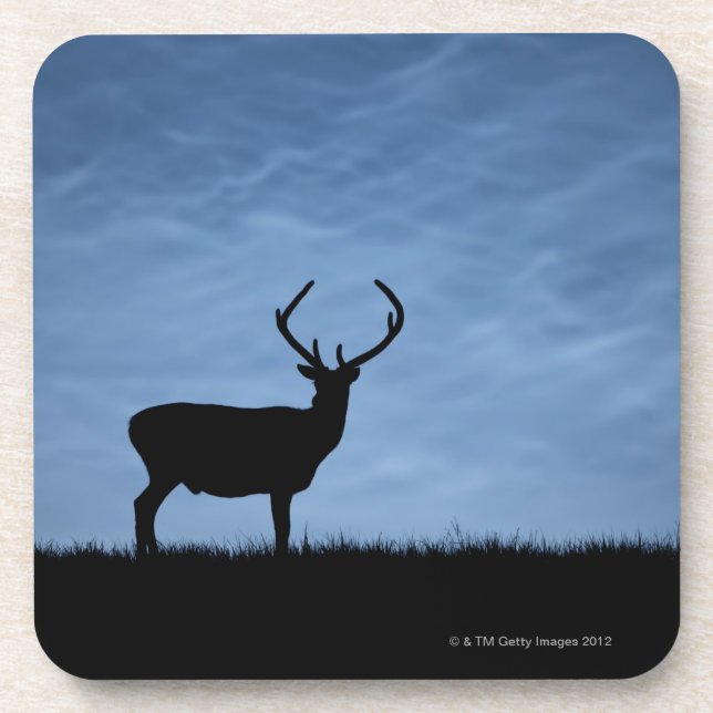 Posavasos Macho silueteado del ciervo común en la noche (Frente)