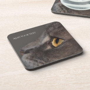 Posavasos Macro-ojo de gato por Shirley Taylor
