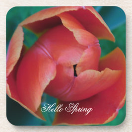 Posavasos Macro Red Tulip Flower Photography Plastic Coaster