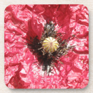 Posavasos Macroesca De Corcho De Flor De Adormidera Roja bon