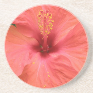 Posavasos Macroestores De Flor De Hibiscus naranja