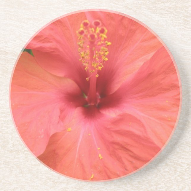 Posavasos Macroestores De Flor De Hibiscus naranja (Frente)