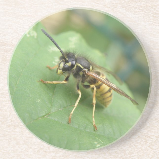 Posavasos Macros de sobrevuelo (Frente)