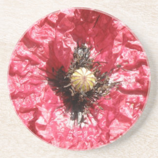 Posavasos Macrótesis de flor de amapola roja bonito