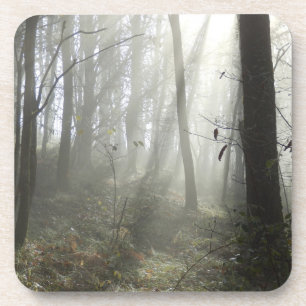 Posavasos Madera de Woodland Mist Duros Ataques Plásticos