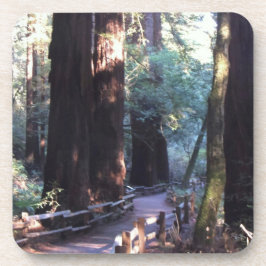 Posavasos Maderas de Muir