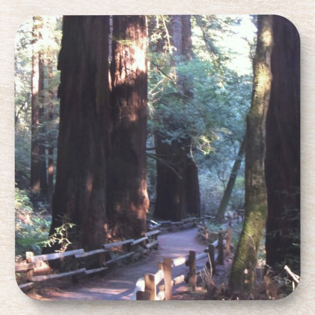 Posavasos Maderas de Muir (Frente)