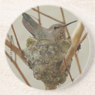 Posavasos Madre Costadora De Hummingbird