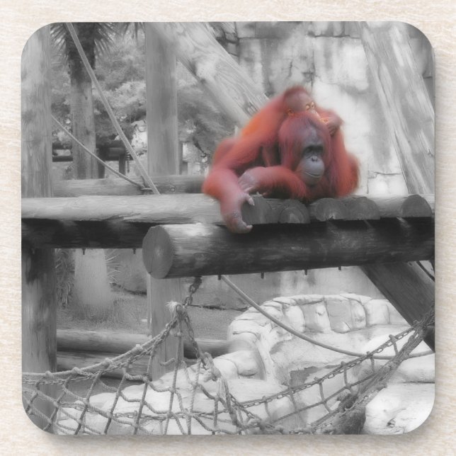 Posavasos Madre e hijo de Orangutan (Frente)