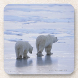 Posavasos Madre y Cub del oso polar