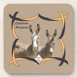 Posavasos Maestros de vida silvestre, burros, Oatman, Arizon