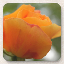 Posavasos Magnífica fotografía de flores de rosa amarillo.