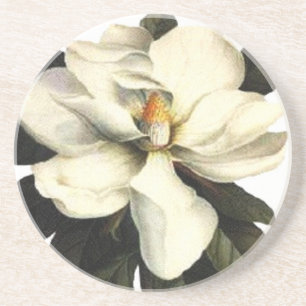 Posavasos   Magnolia