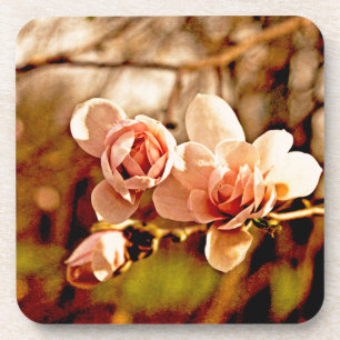 Posavasos Magnolia en rosa