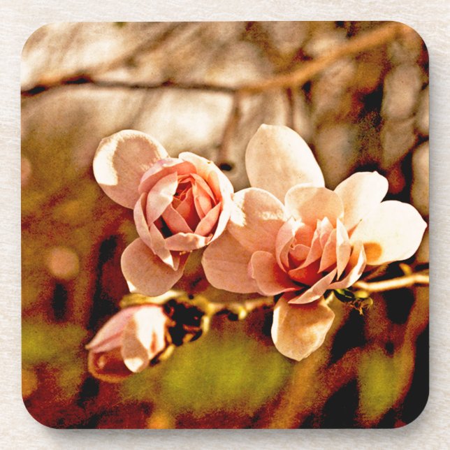 Posavasos Magnolia en rosa (Frente)