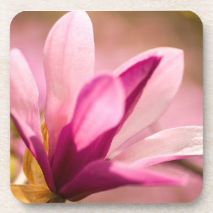Posavasos Magnolia rosa