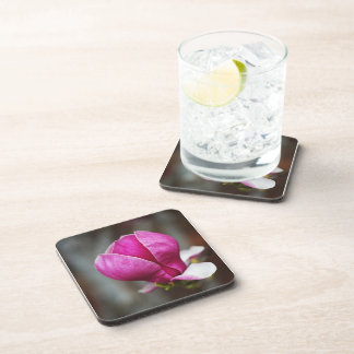 Posavasos Magnolia Rosa en Floración Completa