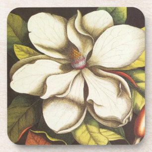 Posavasos magnolia vintage moderna