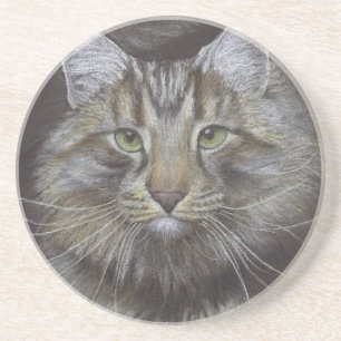 Posavasos Maine Coon Cat