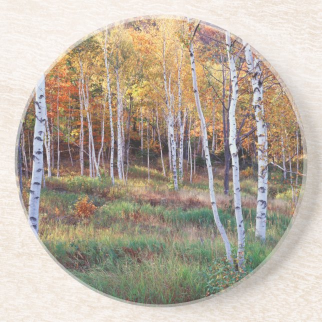 Posavasos Maine, Parque Nacional Acadia, Otoño (Frente)