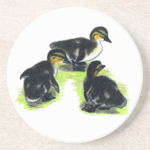 Posavasos Mallard Ducklings