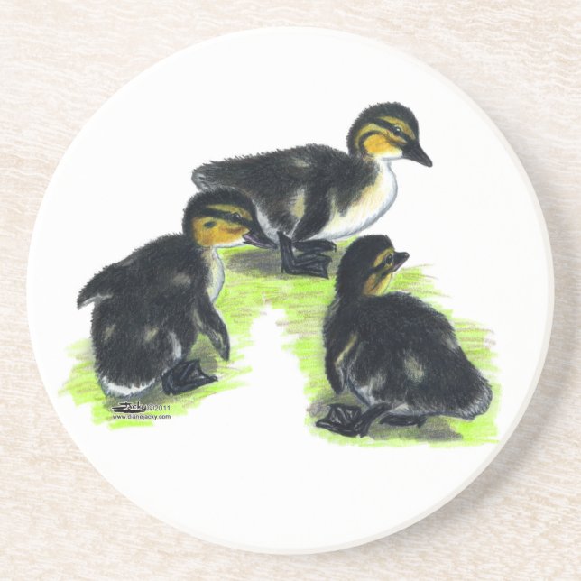 Posavasos Mallard Ducklings (Frente)