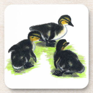 Posavasos Mallard Ducklings