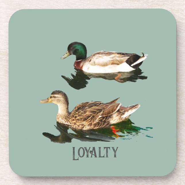 Posavasos Mallas de los Ducks (Frente)