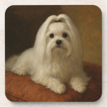 Maltese