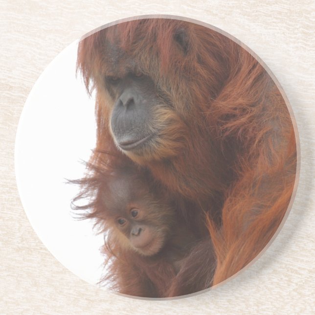 Posavasos Mamá y bebé Orangutan (Frente)