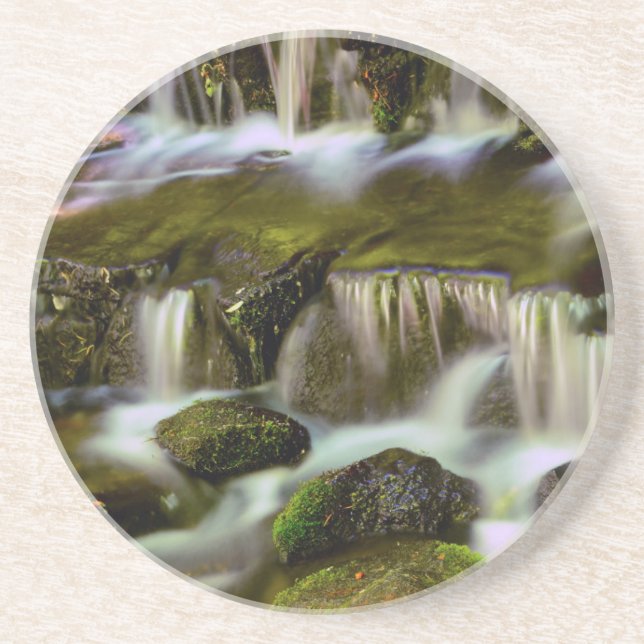 Posavasos Manantial de helechos, Parque Nacional Yosemite, C (Frente)