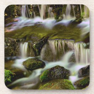 Posavasos Manantial de helechos, Parque Nacional Yosemite, C