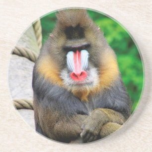 Posavasos Mandrill 001