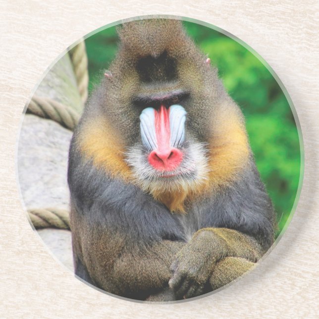 Posavasos Mandrill 001 (Frente)