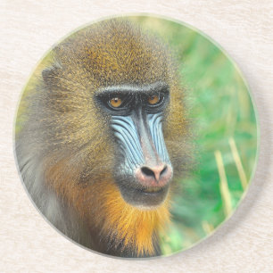 Posavasos Mandrill 002