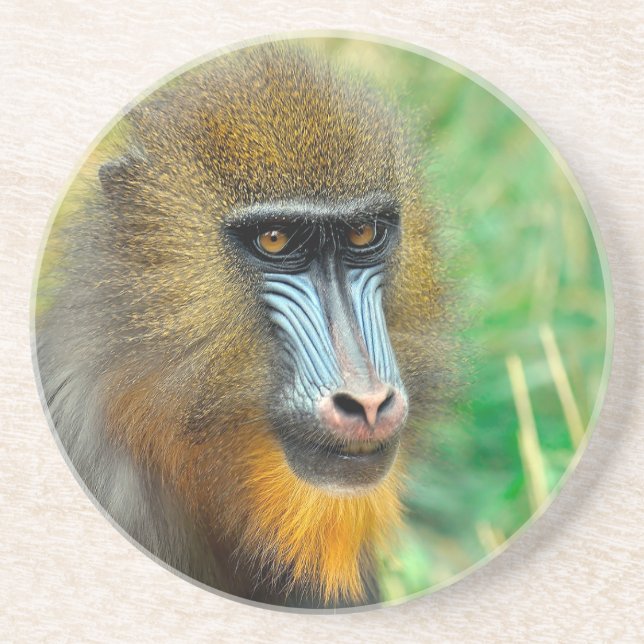 Posavasos Mandrill 002 (Frente)