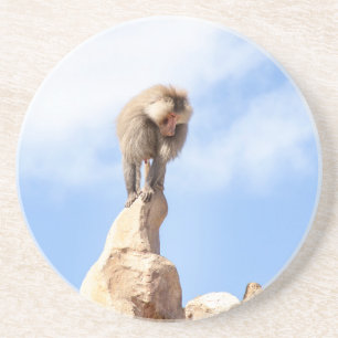 Posavasos Mandrill en la cima de una montaña