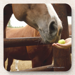 Posavasos Mano que alimenta a un caballo una manzana