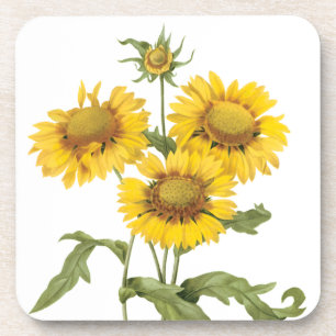 Posavasos Manta Floral Vintage Flor de Girasol por Redoute