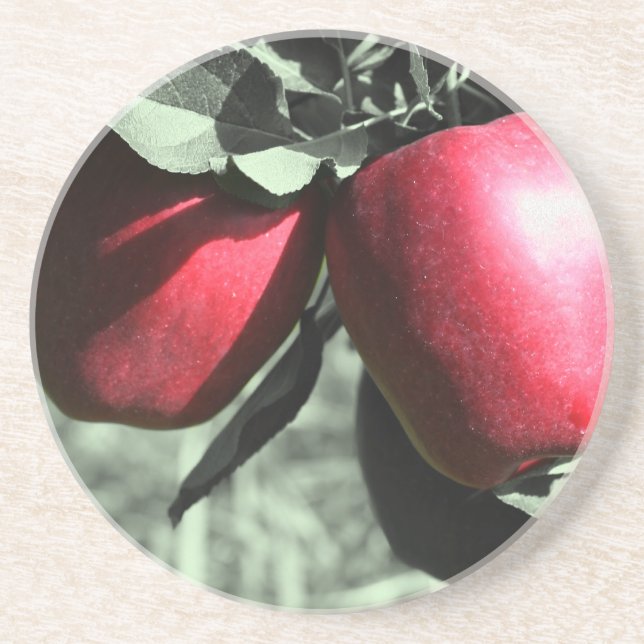 Posavasos Manzanas Rojas En La Montaña De La Naturaleza Del  (Frente)