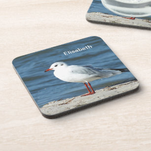 Posavasos mar, agua, gaviota, pájaro, viaje, azul, cielo, ab