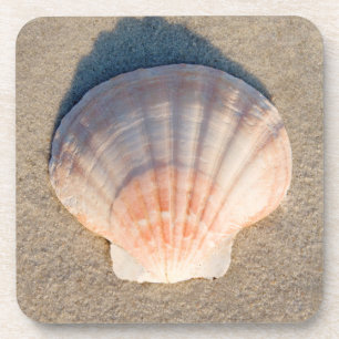 Posavasos Mar Shell que pone en la playa de Sandy