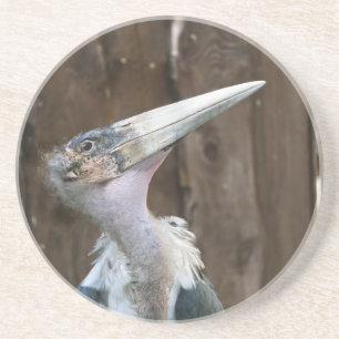 Posavasos Marabou Stork