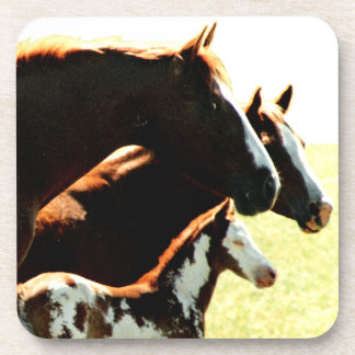 Posavasos Mares y caballos fallidos